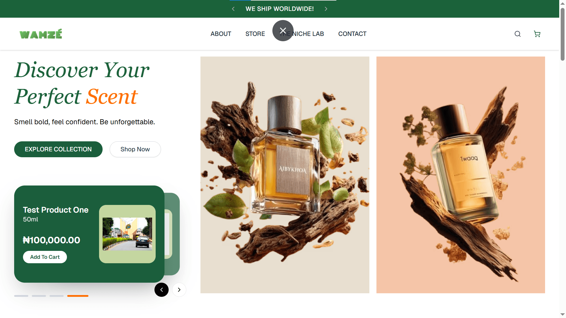 NicheLab E-commerce Storefront full-stack app interface preview